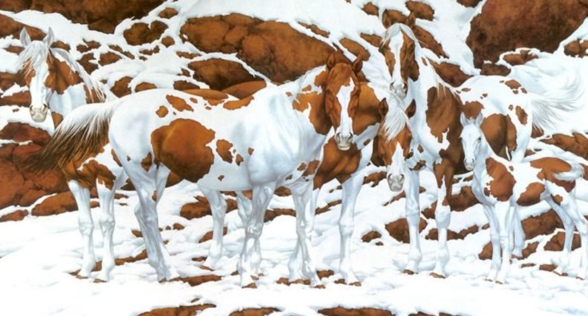 1477152163_how_many_horses_do_you_see_featured-696x365