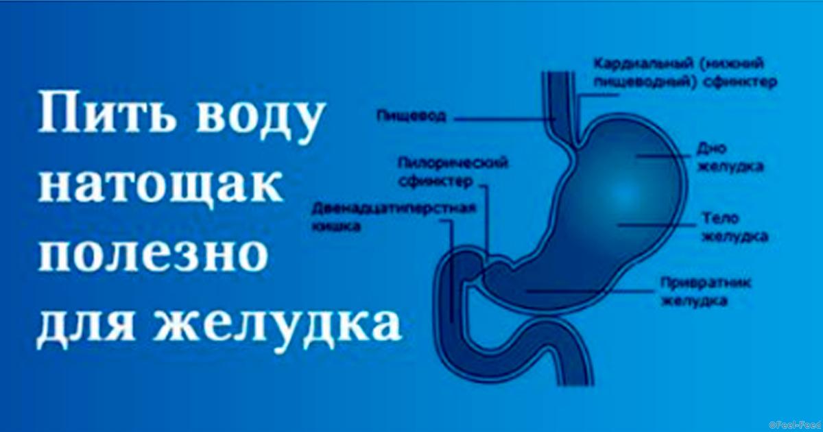Почему болит желудок утром натощак Почему болит желудок утром натощак