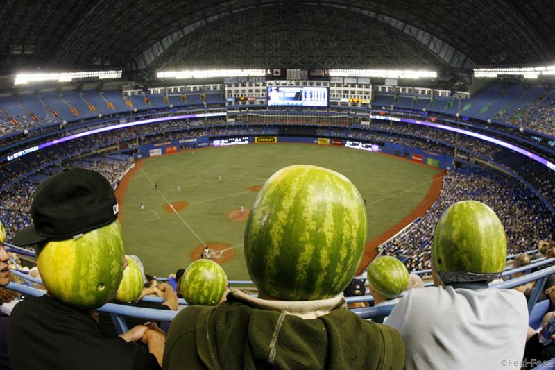 A group of fans from the Waterloo, Ontario region watch the action wearing watermelons on their heads, during MLB eigth inning action between  the Tampa Bay Rays vs Toronto Blue Jays, in Toronto at the Rogers Centre, on Saturday July 25, 2009. THE CANADIAN PRESS/Dave Chidley