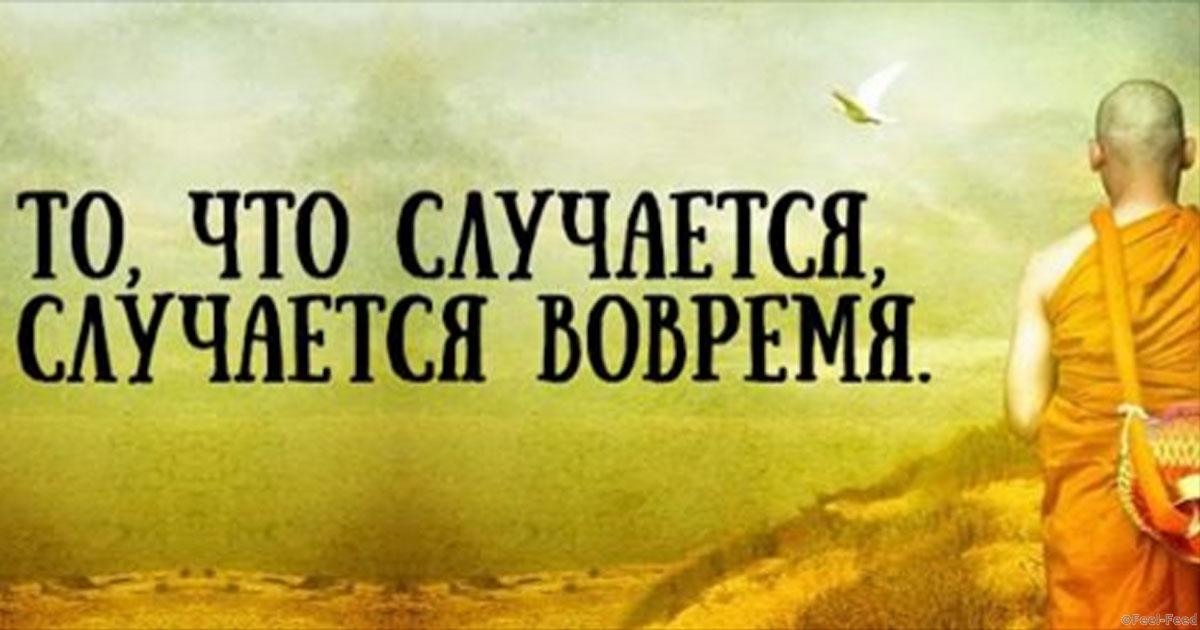 Восточная пословица если хочешь что-то получить Восточная пословица если хочешь что-то получить