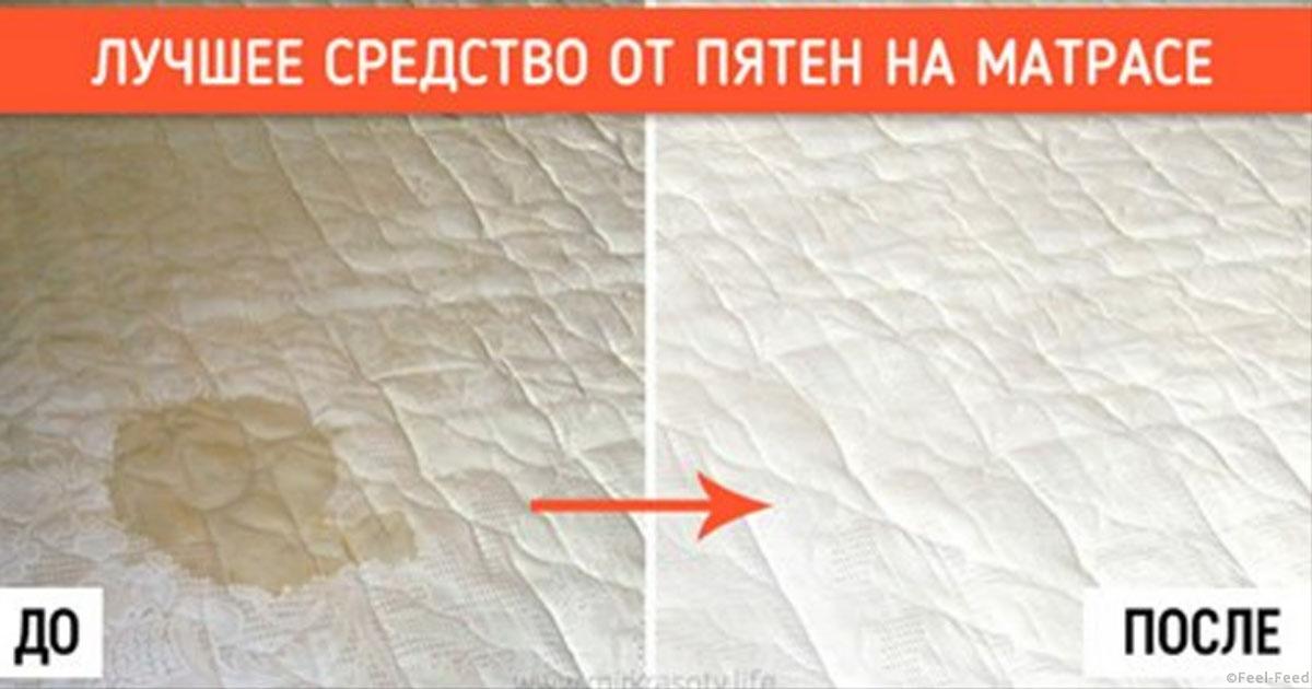 Как удалить пятна крови с матраса фото