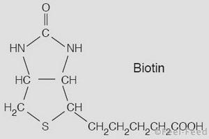 biotin1