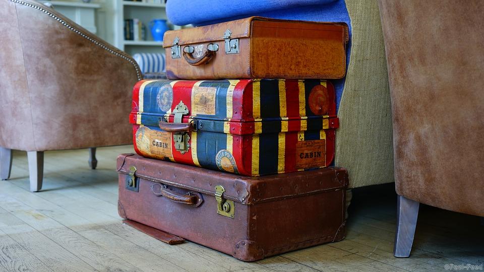 Baggage Suitcase Luggage Case Brown Trip Bags