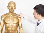 chinese medicine doctor teaches acupoint on human model