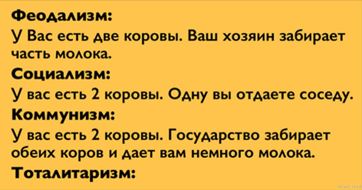 Поговорка такая корова Поговорка такая корова