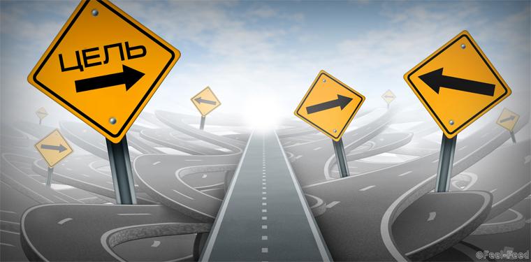 Clear strategy and solutions for business leadership symbol with a straight path to success as a journey choosing the right strategic path for business with blank yellow traffic signs cutting through a maze of tangled roads and highways.