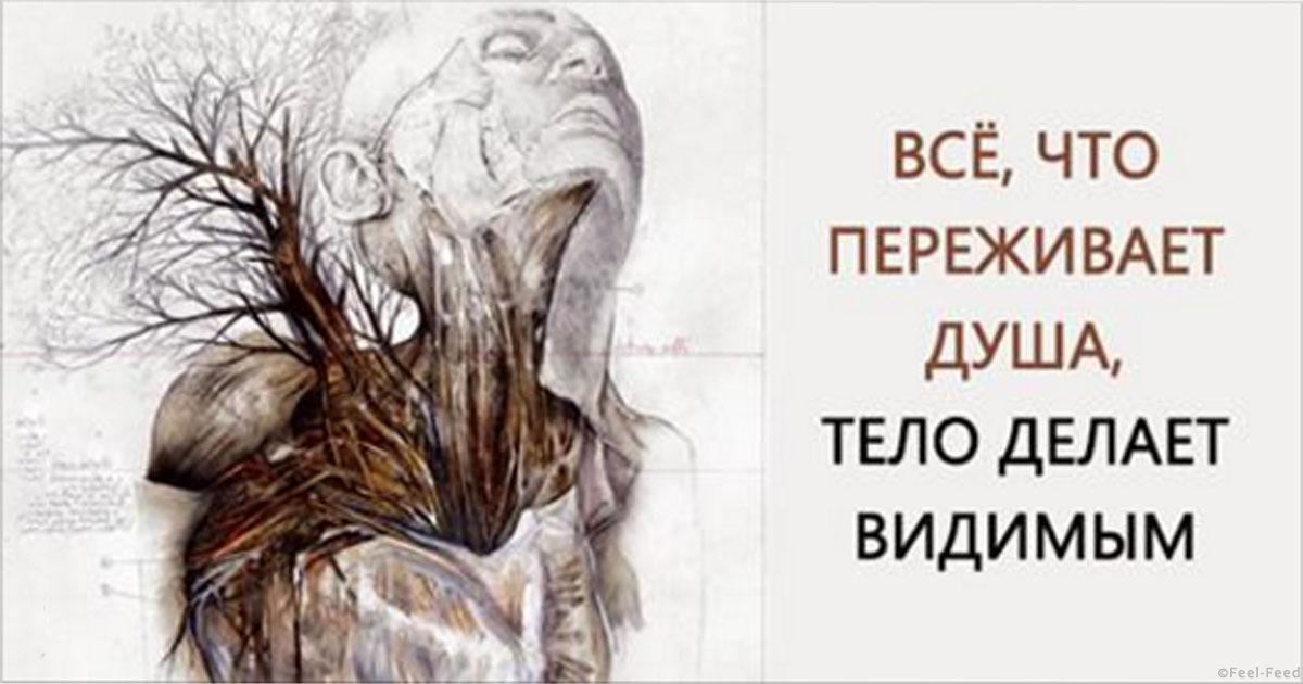 Как сделать диск каталог текущим Как сделать диск каталог текущим