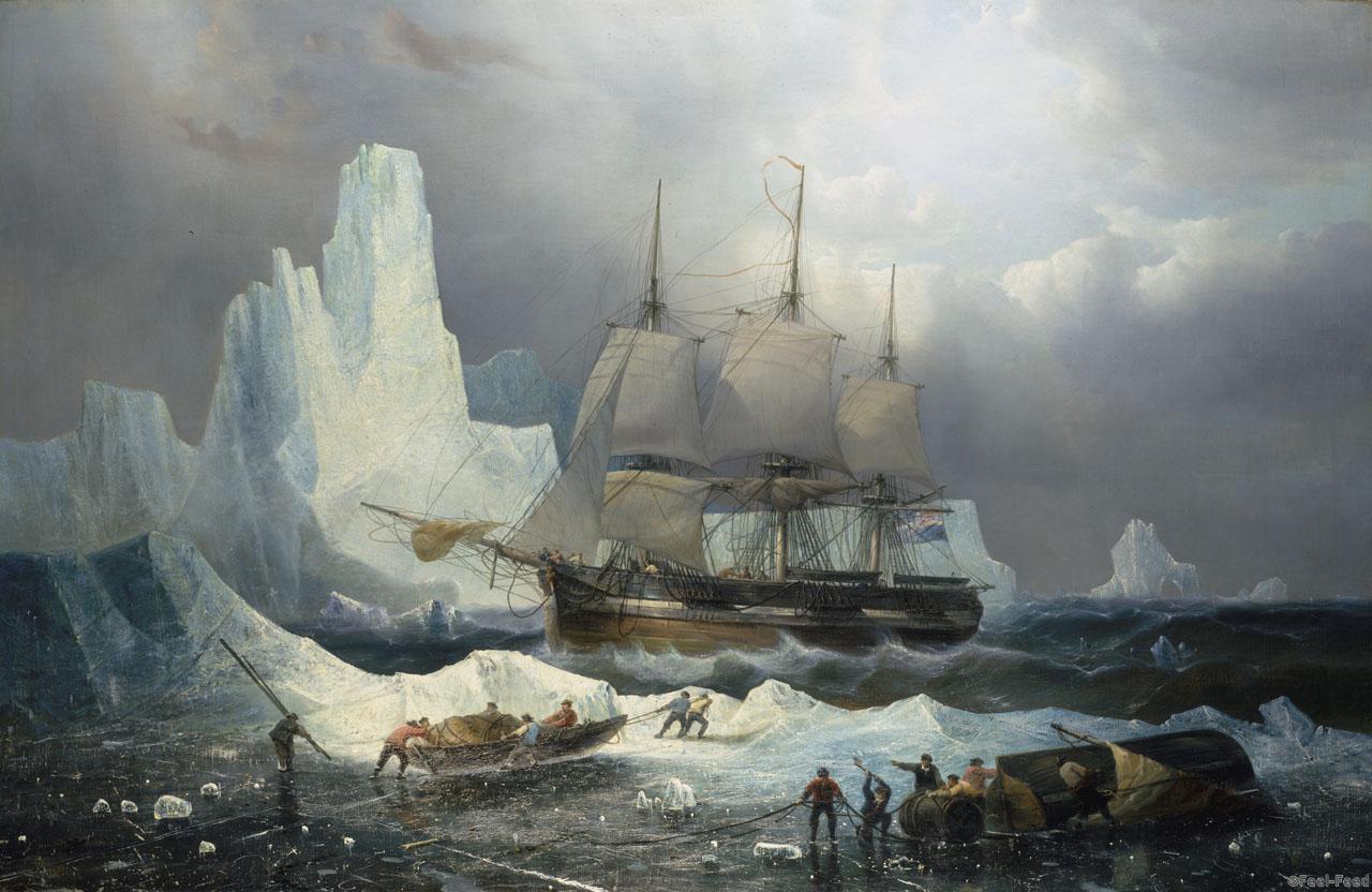 HMS Erebus in the Ice