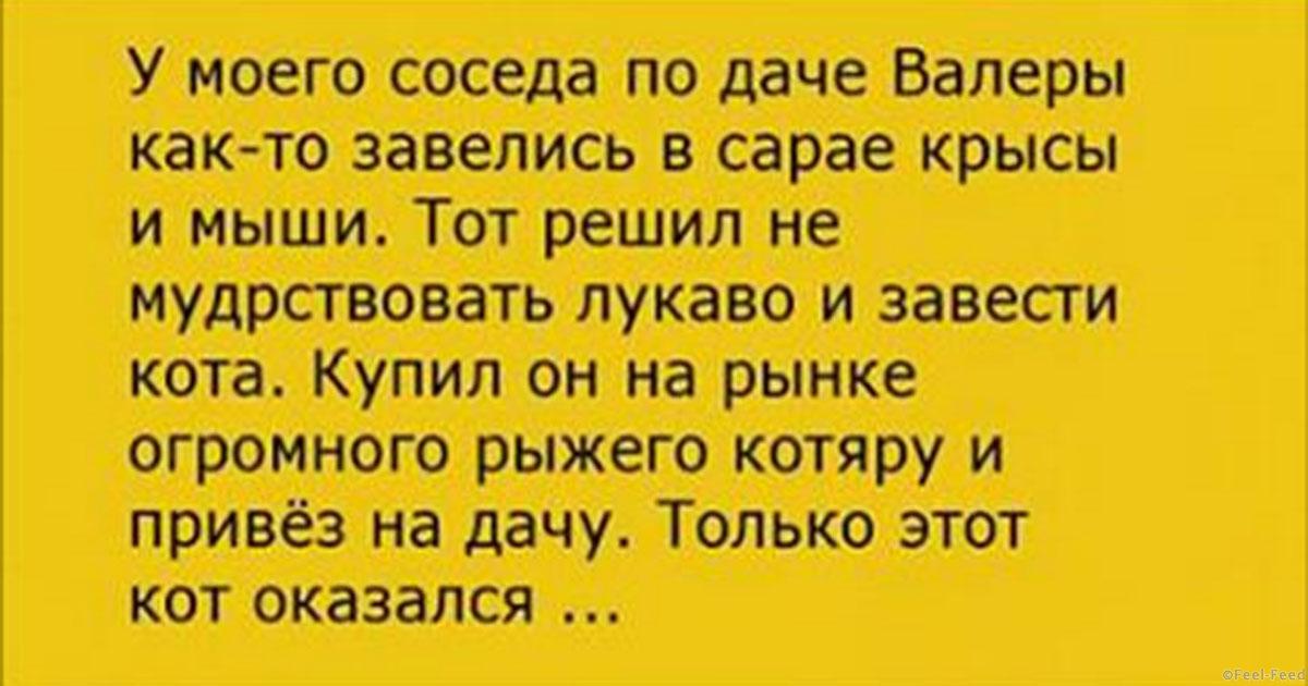 Тост за соседей по даче Тост за соседей по даче