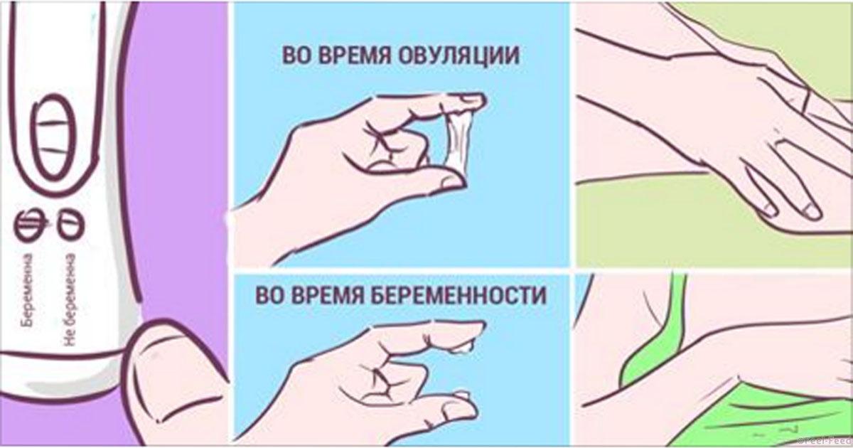 Газета Правда 33 от by Newspaper ГОЛОС ВЕД- Веды в МР3- Сайт Ведических аудио-лекций в MП3