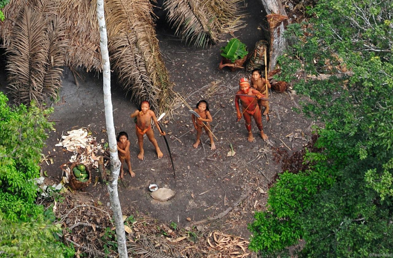 Undated handout picture released January 31, 2011 by Survival International of what they say are uncontacted Indians seen from a Brazilian government's observation aircraft in the Brazilian Amazon forest, near the border with Peru. The Indians appear be to healthy and could be running from Peru due to a invasion of their lands by loggers. AFP PHOTO/Gleison Miranda/FUNAI/Survival - FOR DETAILS GO TO : www.uncontactedtribes.org - RESTRICTED TO EDITORIAL USE - MANDATORY CREDIT - NO MARKETING NO ADVERTISING CAMPAIGN - DISTRIBUTED AS A SERVICE TO CLIENTS (Photo credit should read Gleison Miranda/AFP/Getty Images)