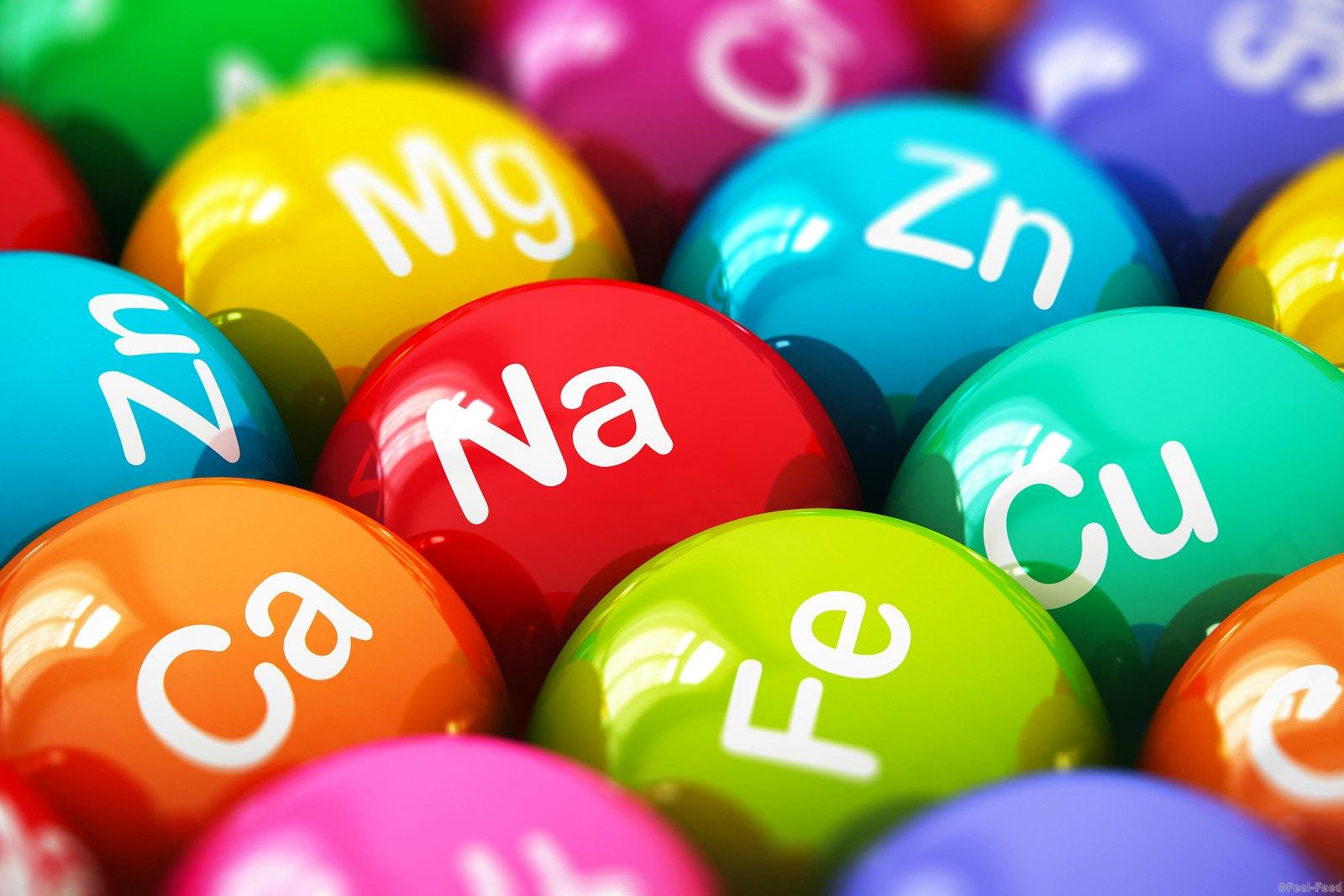 Macro view of color balls pills or tablets with minerals and microelements names with selective focus effect