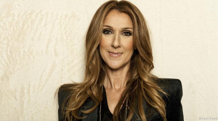 CORRECTS YEAR TO 2013. 12141316247, 21334631, CORRECTS YEAR TO 2013 - Singer Celine Dion poses for a portrait on Saturday, Dec. 14, 2013 in Los Angeles. (Photo by Jordan Strauss/Invision/AP)