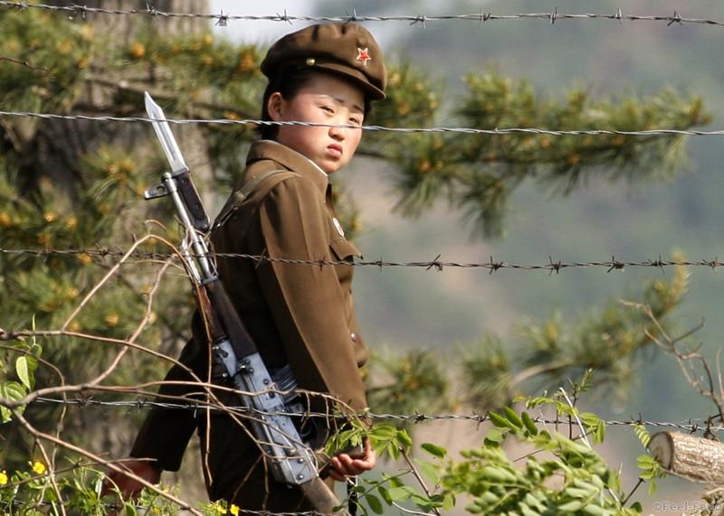 In this photo taken June 3, 2009, a female North Korean soldier looks out from behind a barbed-wire fence around a camp on the North Korean river banks across from Hekou, northeastern China's Liaoning province. North Korea's top court has convicted two U.S. journalists, and sentenced them to 12 years in labor prison, the country's state news agency reported Monday. (AP Photo/Ng Han Guan)