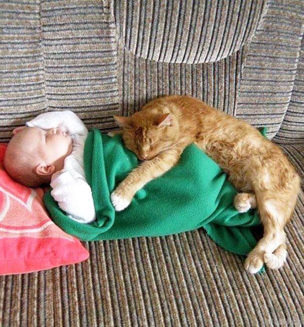 kids-with-cats-17-605