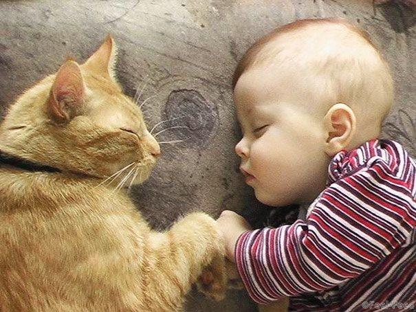 kids-with-cats-21-605