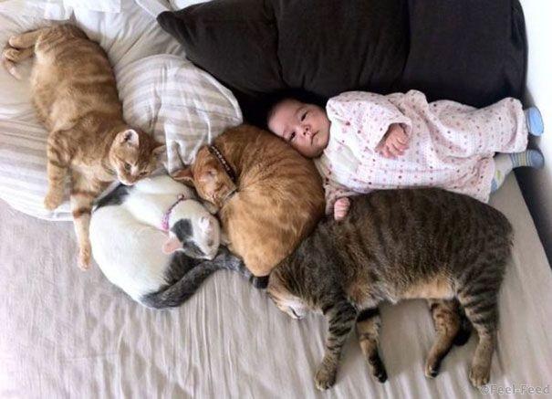 kids-with-cats-23-605