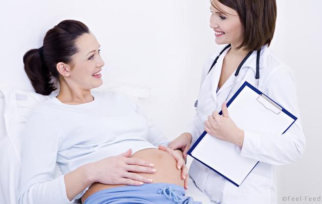 Doctor talks with the pregnant woman at clinic