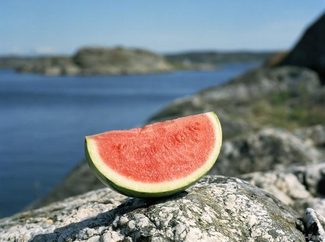 Watermelon on rock