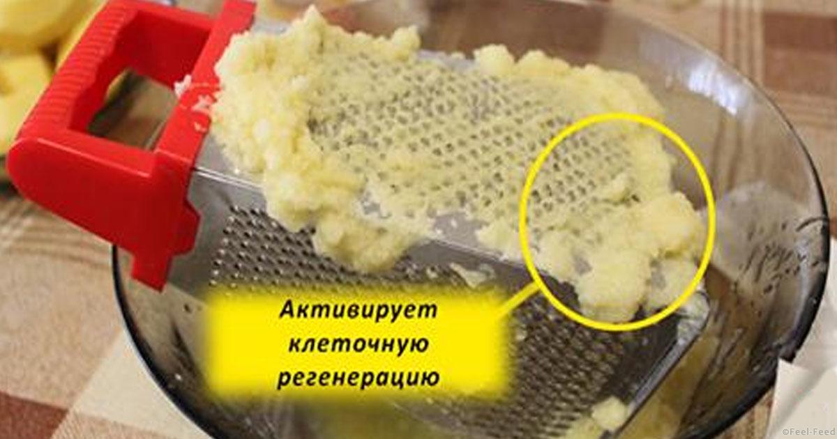 Бигль: стандарт породы, вес и рост в холке по месяцам с Аппараты для проведения ультразвукового пилинга