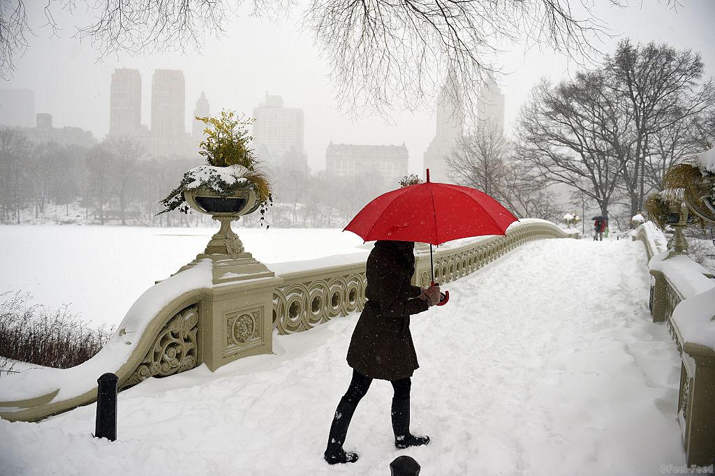 NEW YORK, NY - JANUARY 23: A woman walks in strong winds and heavy snow fall in Central Park on January 23, 2016 in New York City. A major Nor'easter is hitting much of the East Coast and parts of the South as forecasts warn of up to two feet of snow in some areas. (Photo by Astrid Riecken/Getty Images)