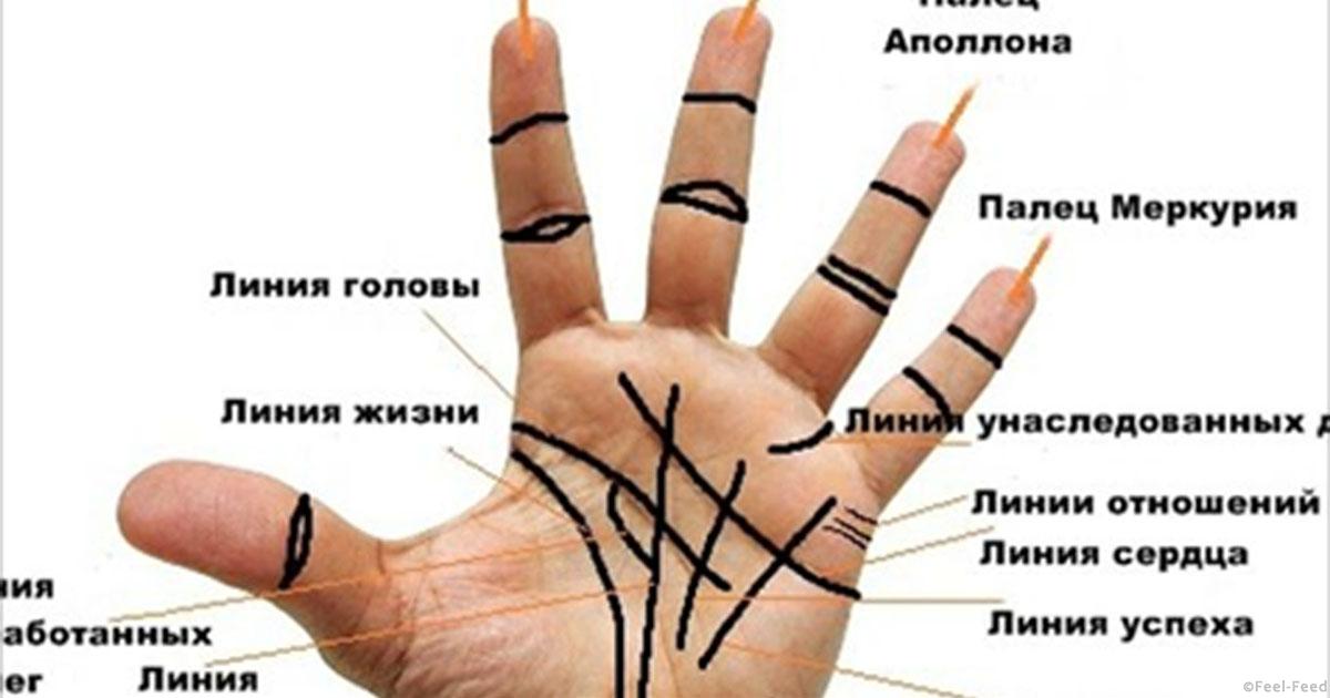 54