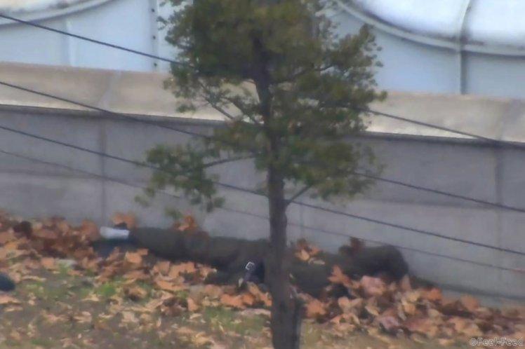 This screengrab made from video footage released by the United Nations Command on November 22, 2017 shows a North Korea defector lying on the ground after getting shot at by North Korean soldiers in the Joint Security Area of the Demilitarized Zone (DMZ). Dramatic footage of a North Korean soldier's defection released on November 22 showed him racing across the border under fire from former comrades, and then being hauled to safety by South Korean troops. The defector, who ran across the border at the Panmunjom truce village on November 13, was shot at least four times and has been recovering in a South Korean hospital. / AFP PHOTO / UNITED NATIONS COMMAND / Handout / RESTRICTED TO EDITORIAL USE - MANDATORY CREDIT "AFP PHOTO / UNITED NATIONS COMMAND (UNC)" - NO MARKETING NO ADVERTISING CAMPAIGNS - DISTRIBUTED AS A SERVICE TO CLIENTS HANDOUT/AFP/Getty Images