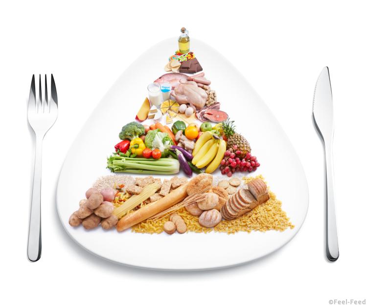 food pyramid on plate with knife and fork