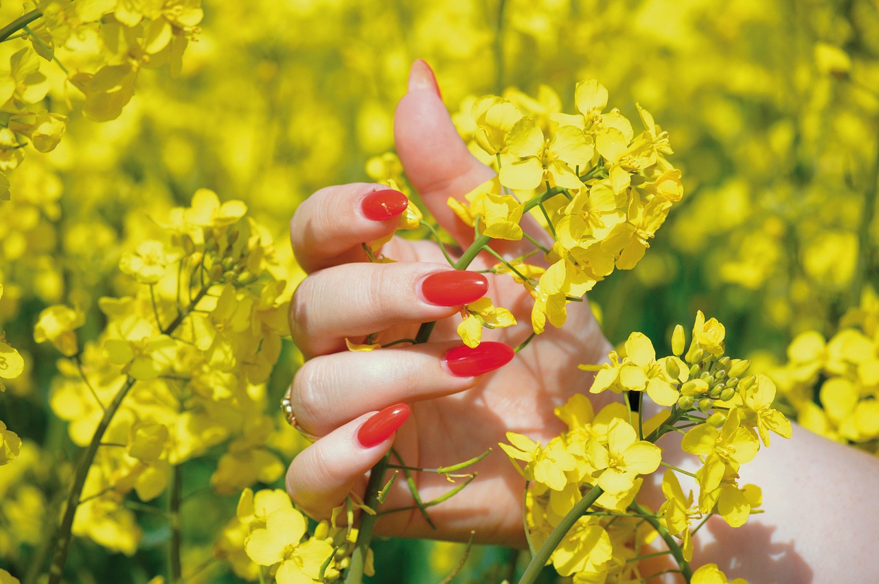 oilseed-rape-7345319_1280